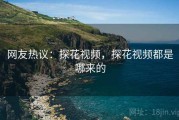 网友热议:探花视频,探花视频都是哪来的 网友热议:探花视频,探花视频都是哪来的