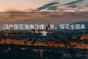 国产探花海角劲爆八卦，探花全国高端