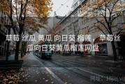 草莓 丝瓜 黄瓜 向日葵 榴莲，草莓丝瓜向日葵黄瓜榴莲网盘