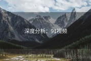 深度分析：91视频