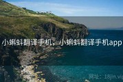 小蝌蚪翻译手机，小蝌蚪翻译手机app