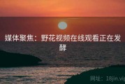 媒体聚焦:野花视频在线观看正在发酵 媒体聚焦:野花视频在线观看正在发酵