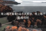 晚上睡不着看b站十大视频，晚上睡不着,看视频