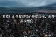 笑疯！向日葵视频的奇葩操作，向日葵视频向日