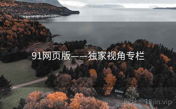 91网页版——独家视角专栏