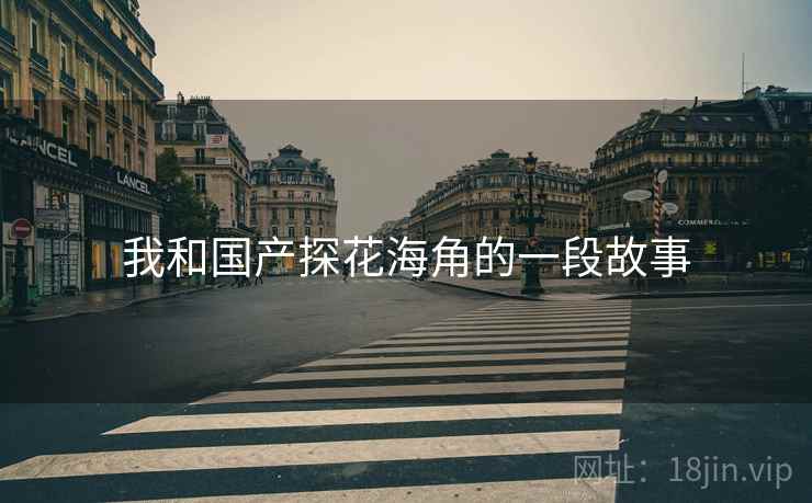 我和国产探花海角的一段故事