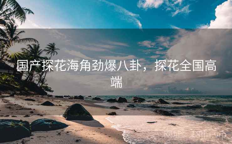 国产探花海角劲爆八卦，探花全国高端