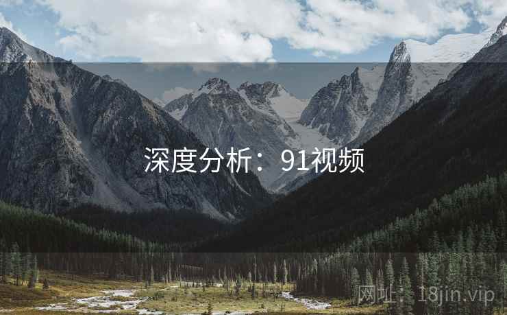 深度分析：91视频