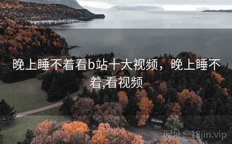 晚上睡不着看b站十大视频，晚上睡不着,看视频